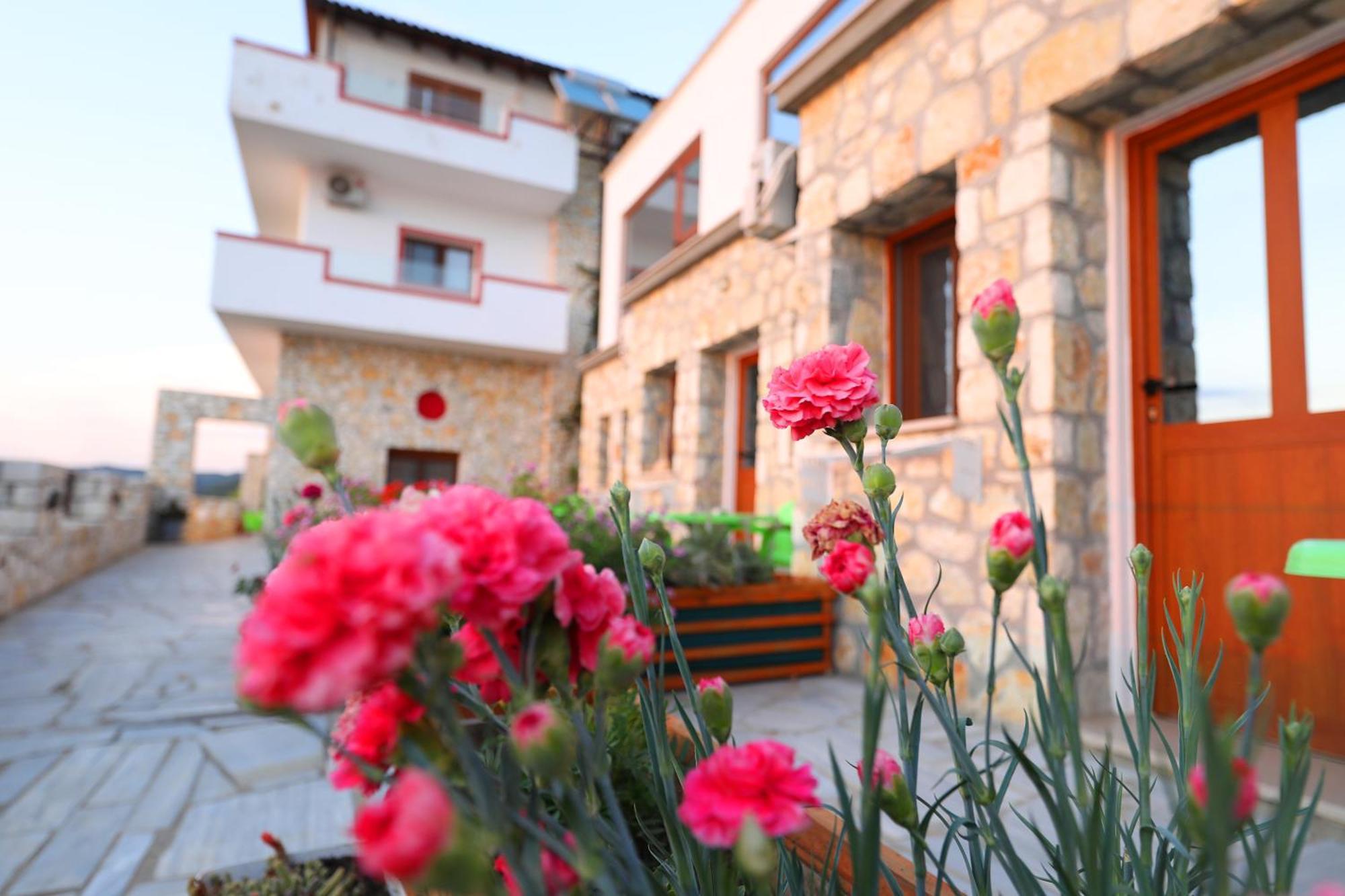 Vila Dena Vlore Exterior photo